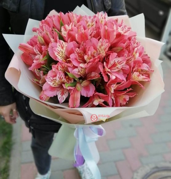 Букет из 9 розовых альстромерий заказать за 4 520 руб. с доставкой Букет из 9 розовых альстромерий заказать за 4 520 руб. с доставкой