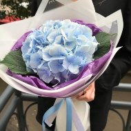 Букет  гортензии  «Голубое облако»